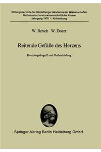 Reitende Gefäße des Herzens