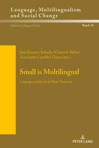 Small is Multilingual