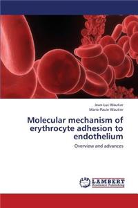 Molecular Mechanism of Erythrocyte Adhesion to Endothelium