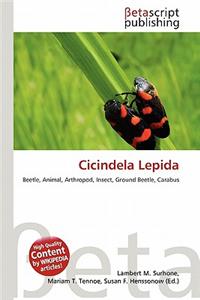 Cicindela Lepida