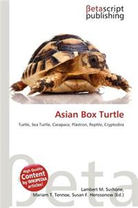 Asian Box Turtle