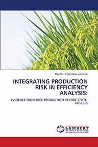 Integrating Production Risk in Efficiency Analysis