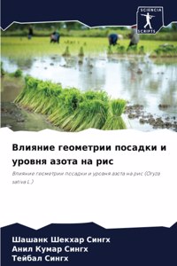 Влияние геометрии посадки и уровня азота l