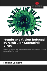 Membrane fusion induced by Vesicular Stomatitis Virus