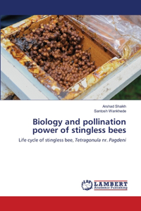 Biology and pollination power of stingless bees