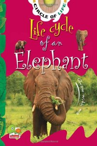 Life Cycle of an Elephant: Key stage 1