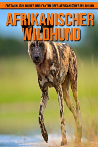 Afrikanischer Wildhund