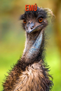 Emú