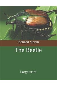 The Beetle