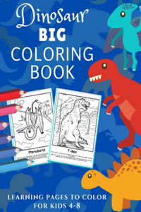 Dinosaur Coloring Book
