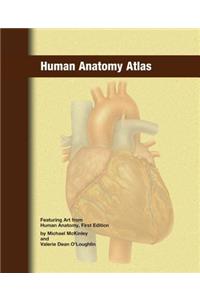Human Anatomy Atlas