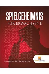 Spielgeheimnis Für Erwachsene
