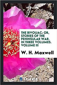 THE BIVOUAC; OR, STORIES OF THE PENINSUL