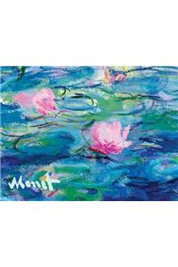 Monet Waterlilies Portfolio Notes