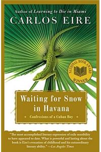 Waiting For Snow In Havana