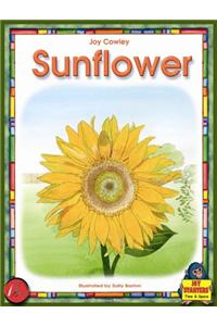 Joy Starters Sunflower