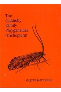 Caddisfly Family Phryganeidae (Trichoptera)
