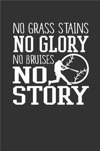 No Grass Stains No Glory No Bruises No Story