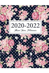 2020-2022 Three Year Planner