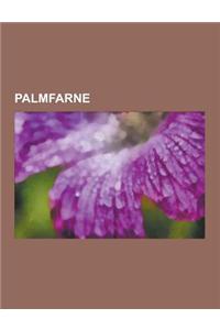 Palmfarne: Dioon, Stangeria Eriopus, Zamiaceae, Brotpalmfarne, Sagopalmfarne, Stangeriaceae, Macrozamia, Cycas Panzhihuaensis, Di