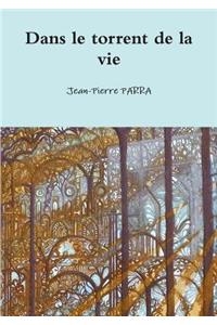 Dans Le Torrent De La Vie