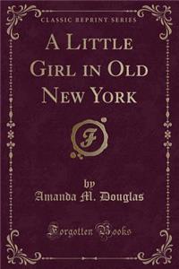 A Little Girl in Old New York (Classic Reprint)