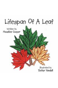 Lifespan of a Leaf