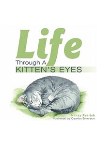 Life Through a Kitten's Eyes