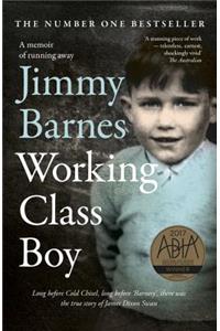Working Class Boy: The Number 1 Bestselling Memoir