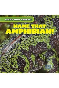 Name That Amphibian!