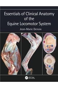 Essentials of Clinical Anatomy of the Equine Locomotor System