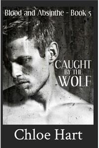 Caught by the Wolf