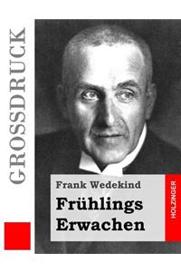 Frühlings Erwachen (Großdruck)