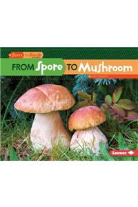 From Spore to Mushroom
