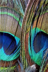 Peacock Journal: 160 Page Lined Journal/Notebook