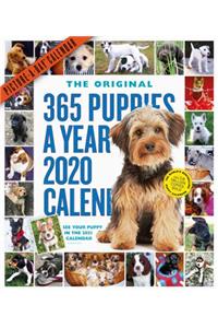 365 Puppies-A-Year Picture-A-Day Wall Calendar 2020