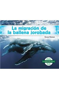 La Migración De La Ballena Jorobada/ Humpback Whale Migration