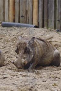 The Wart Hog Journal