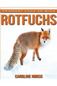 Rotfuchs