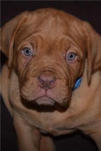 Just So Totally Adorable French Mastiff Puppy Dog Pet Journal