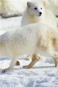 Winter Theme Journal Bears