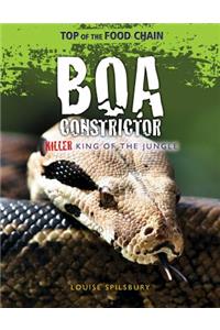 Boa Constrictor