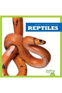 Reptiles