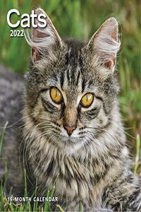 Cats 2022 Wall Calendar