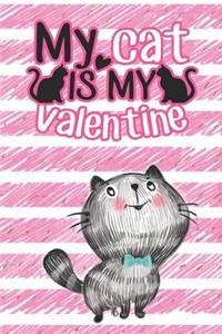 Cool Valentines Day Gifts for Him Boyfriends & Crazy Girlfriend Gifts Valentines Day Cat Card