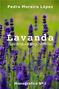 Lavanda