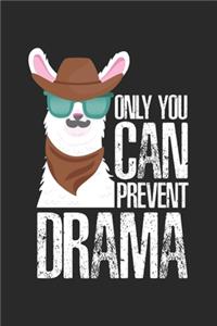 Only you can prevent drama
