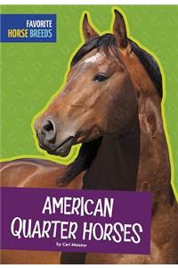 American Quarter Horses