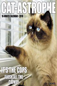 Cat-Astrophe 2018 Wall Calendar