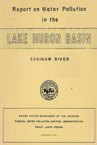 Report on Water Pollution in the Lake Huron Basin